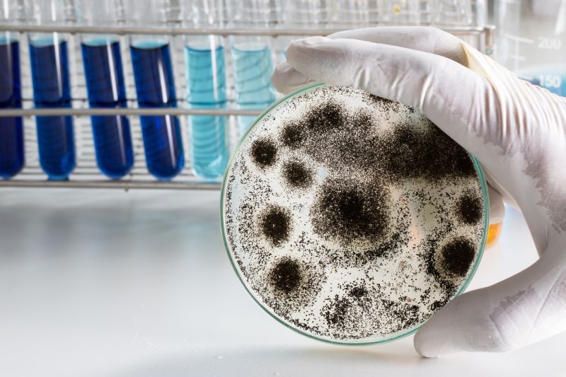 Essex County, NJ