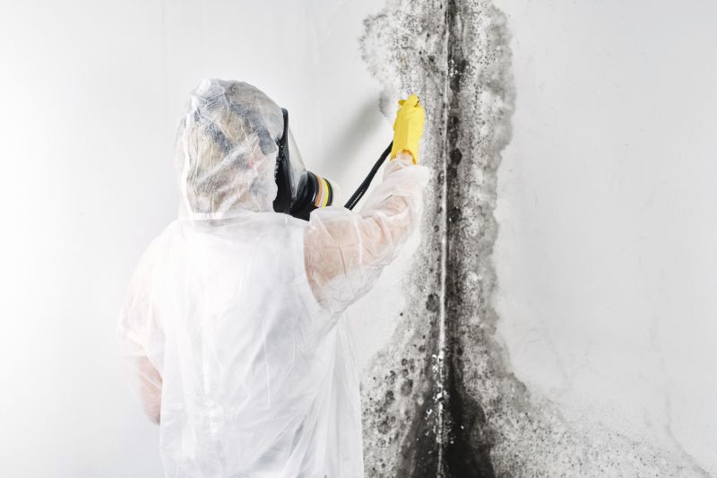 Air Duct Mold Removal in Fort Worth, TX