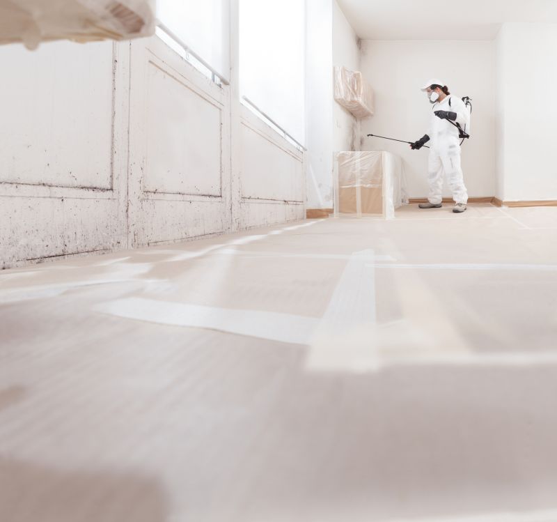 Air Duct Mold Removal in Bergen County, NJ