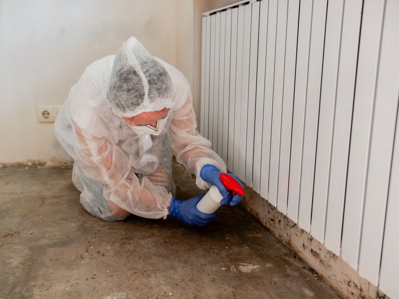 Basement Mold Remediation in Essex County, NJ