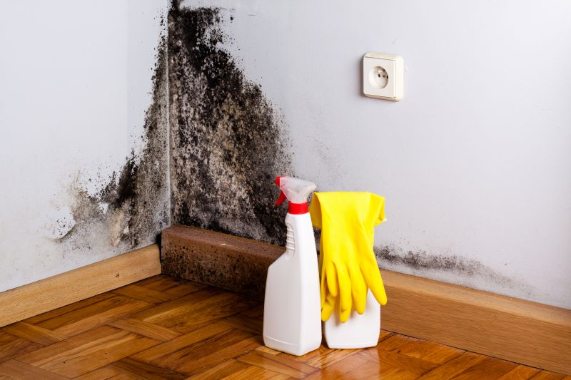 Basement Mold Remediation in Essex County, NJ