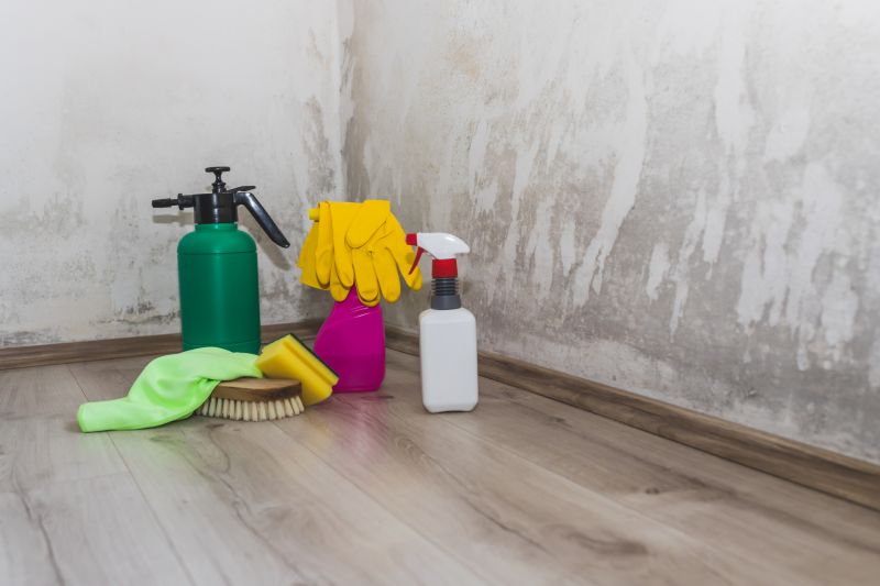 Crawl Space Mold Removal in Dallas, TX