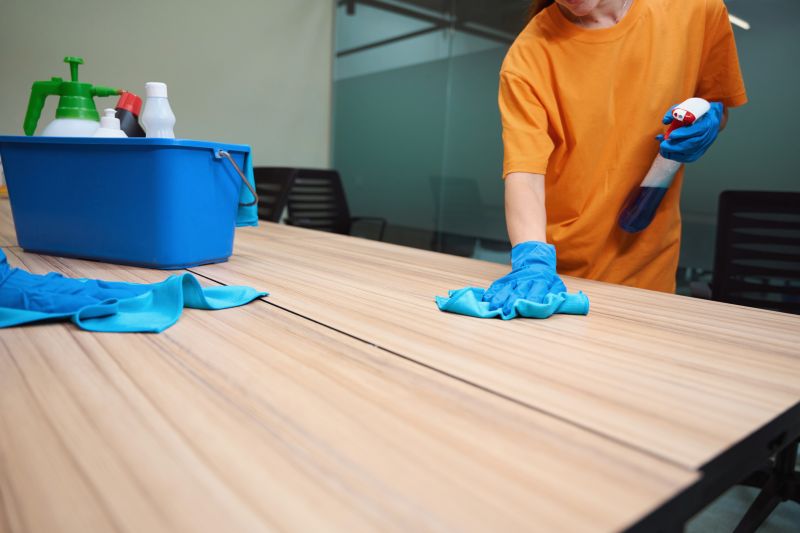 Furniture Sanitization detail