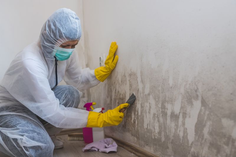 Garage Mold Remediation in Bergen County, NJ