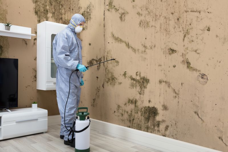 Mold Detection in Arlington, TX