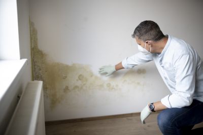 Mold Mitigation Service in Dallas, TX