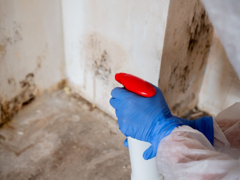 Mold Mitigation Service in Bergen County, NJ