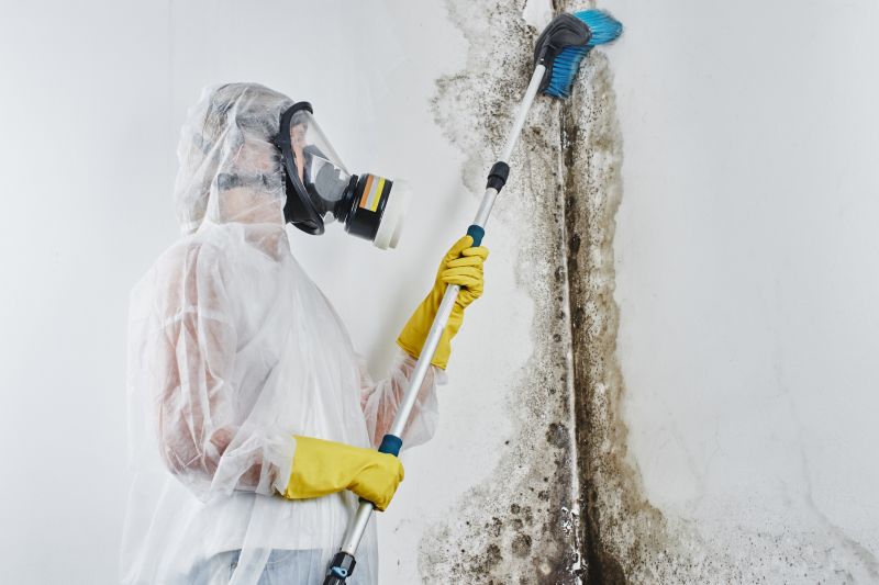Mold Mitigation Service in Bergen County, NJ