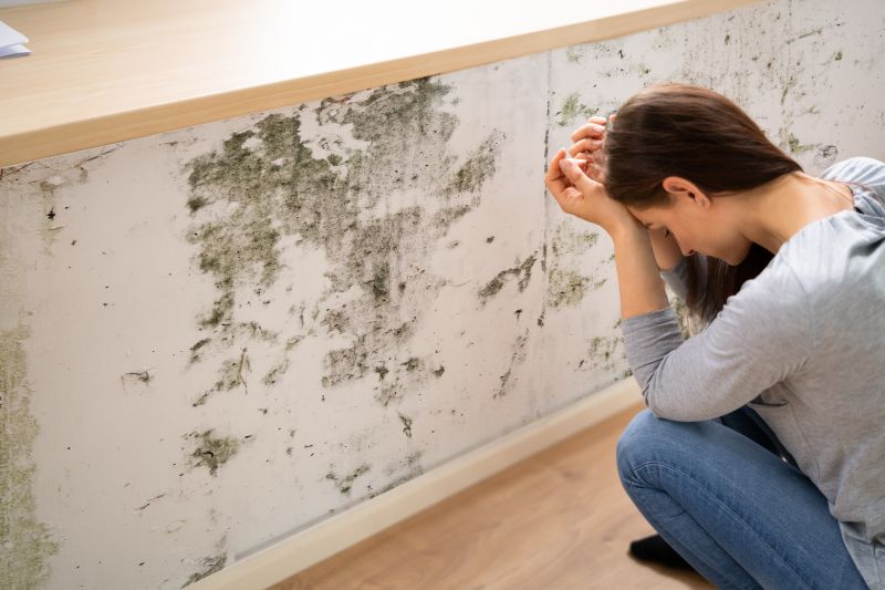 Mold Removal in Broward County, FL
