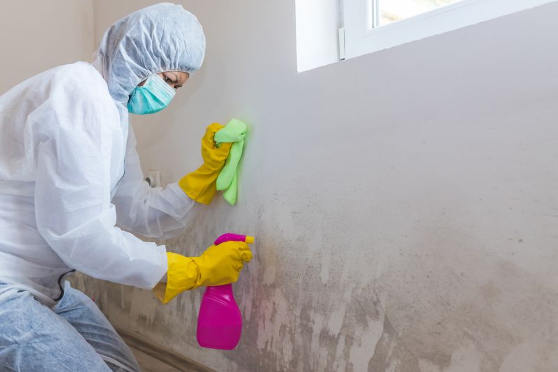 Mold Restoration in Broward County, FL