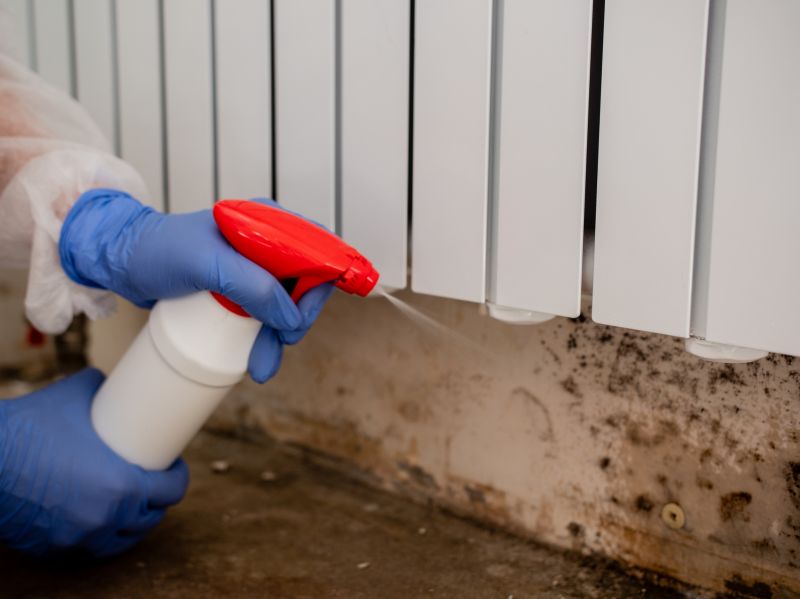 Mold Treatment Service in Fort Lauderdale, FL