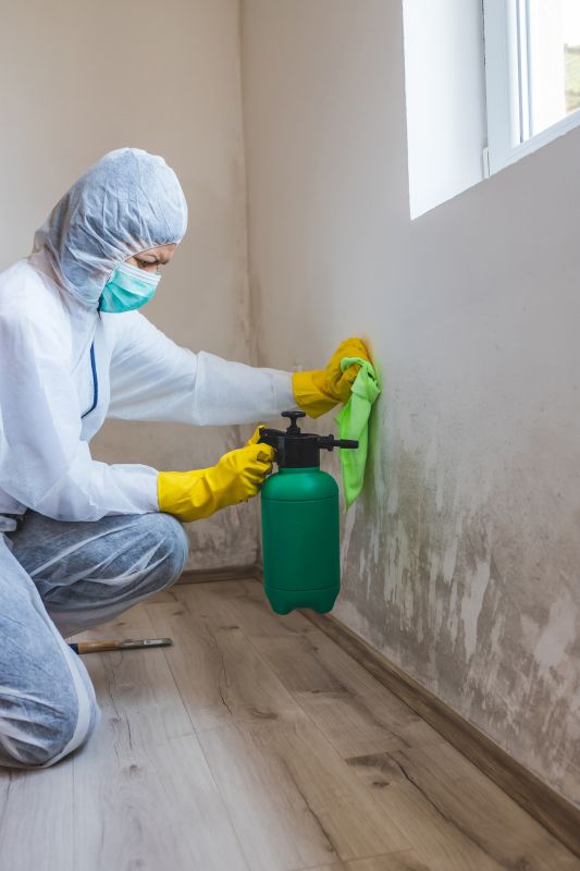 Attic Mold Removal in Fort Worth, TX
