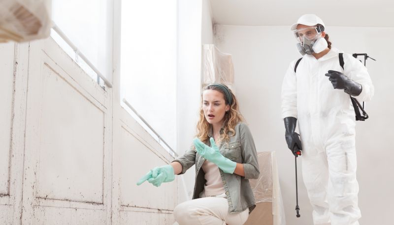 Mold Abatement Service in Boca Raton, FL