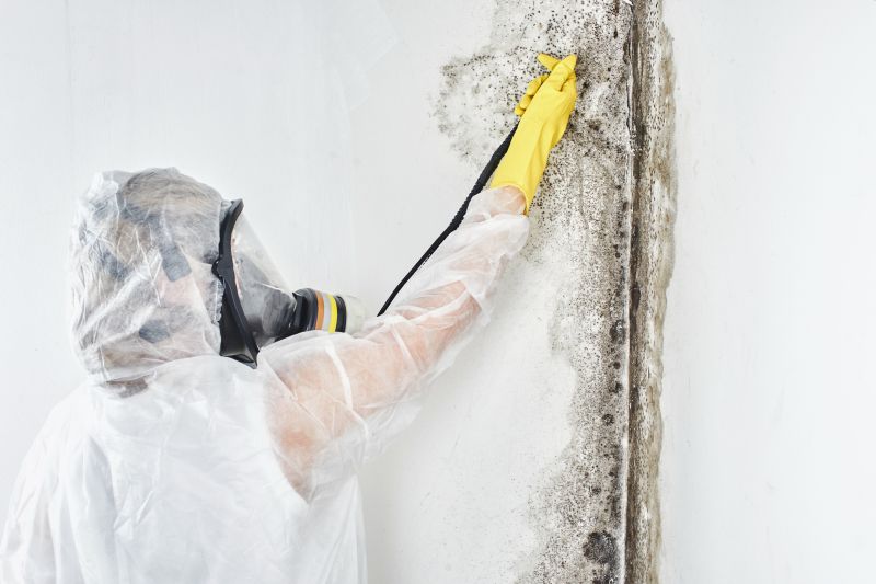 Mold Control in Arlington, TX