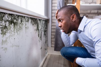Mold Detection in Delray Beach, FL
