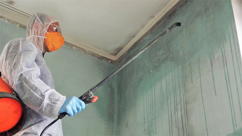 Mold Removal in Fort Lauderdale, FL