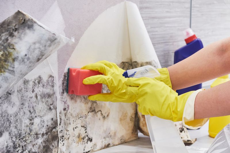 Mold Treatment Service in Broward County, FL